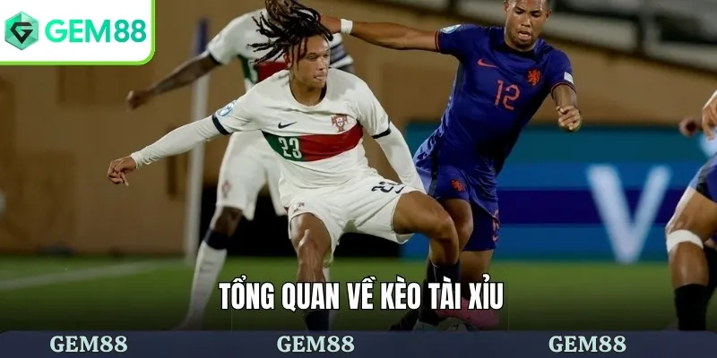 Kèo Tài Xỉu Là Gì - Mẹo Cá Cược Kèo Bao Thắng Cho Tân Binh 1 Giới thiệu về kèo tài xỉu