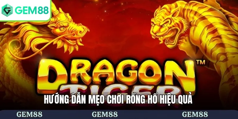 Rồng Hổ - Bật Mí Chi Tiết Mẹo Chơi Dành Cho Người Mới 2 Hướng dẫn mẹo chơi rồng hổ hiệu quả